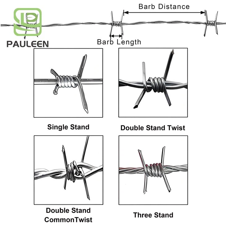Border Protection Barbed Wire