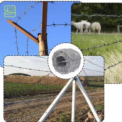 Iron Barbed Wire Coil Iron Barbed Wire Coil